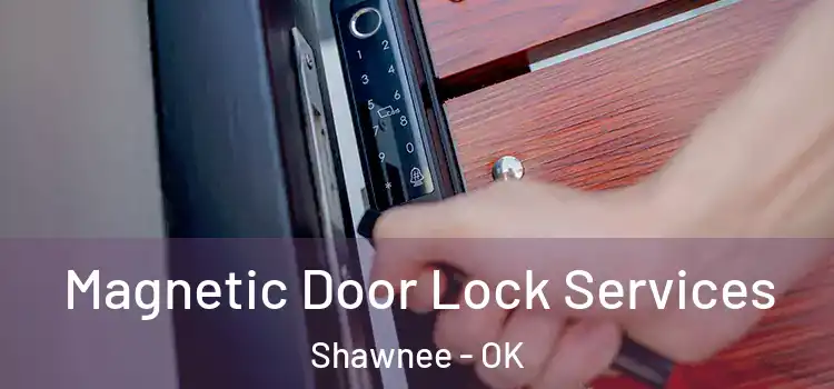 Magnetic Door Lock Services Shawnee - OK